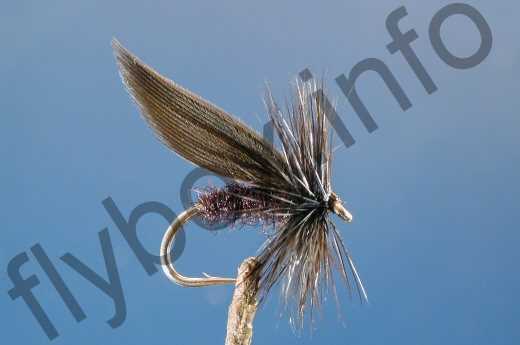 little black caddis fly